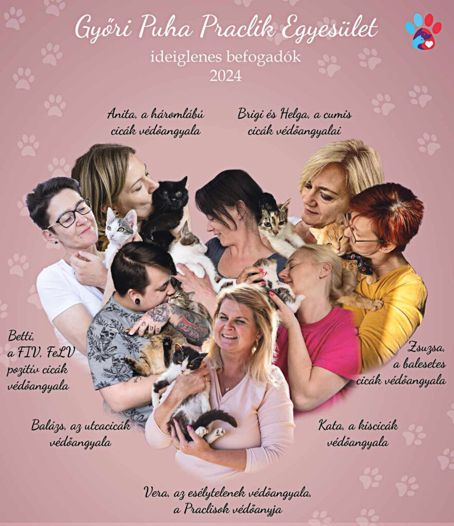 Győri Puha Praclik Egyesület